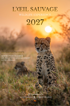 Calendrier "Édition 2027" - PRÉ COMMANDE